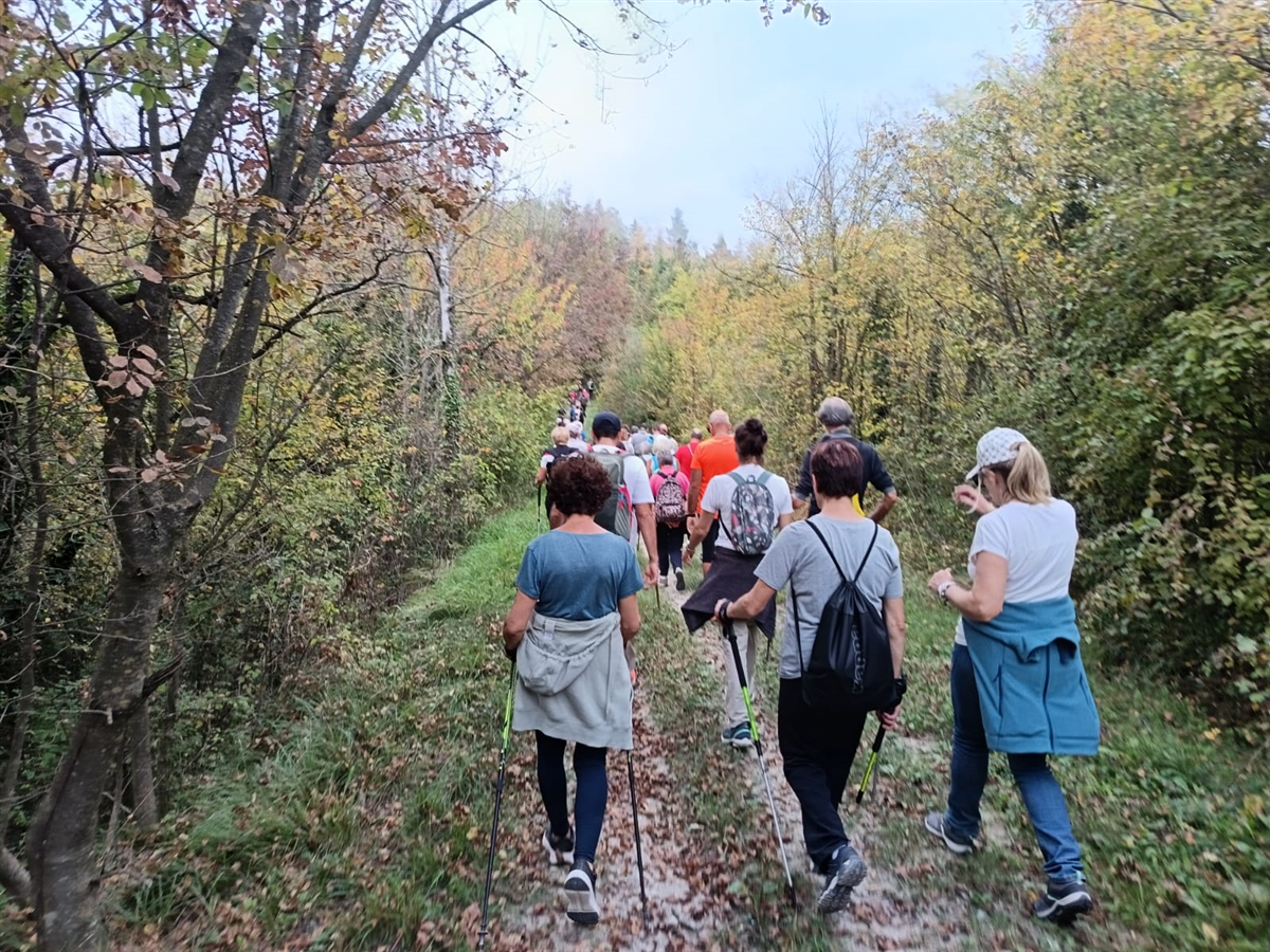 Camminare_il_Monferrato